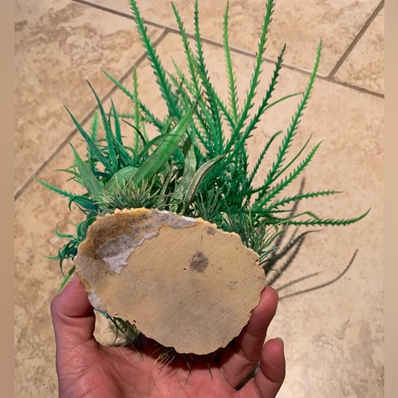 Top Fin Artificial Aquarium Plant - Picture 8 of 9